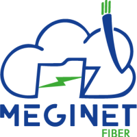 MEGINET FIBER