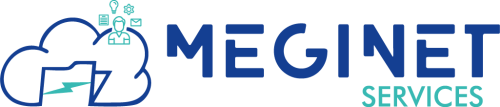 MEGINET_SERVICES_V